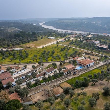 Quinta Ribeiro Tanquinhos Guest House Tancos Bagian luar foto