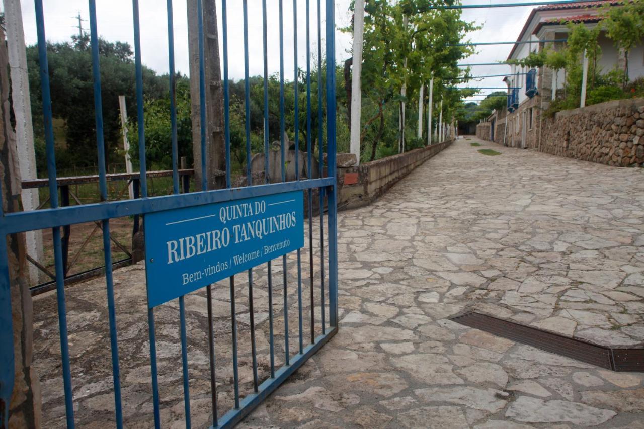 Quinta Ribeiro Tanquinhos Guest House Tancos Bagian luar foto