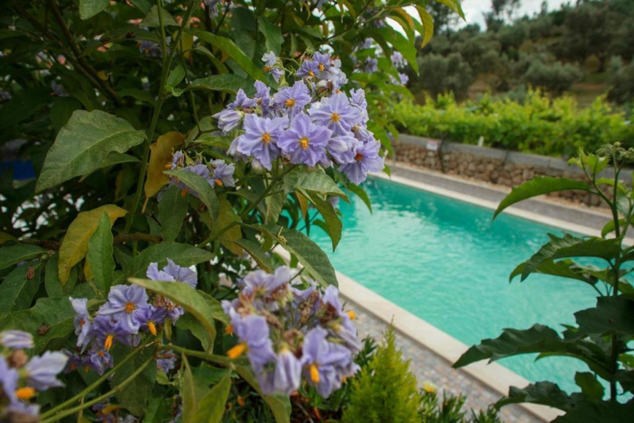 Quinta Ribeiro Tanquinhos Guest House Tancos Bagian luar foto