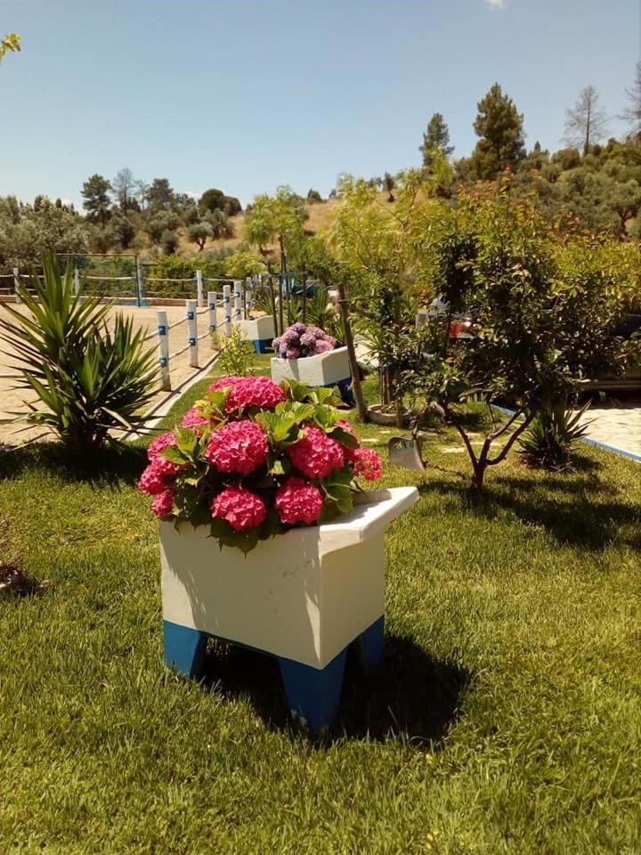 Quinta Ribeiro Tanquinhos Guest House Tancos Bagian luar foto