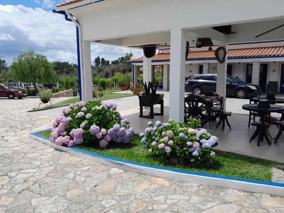 Quinta Ribeiro Tanquinhos Guest House Tancos Bagian luar foto