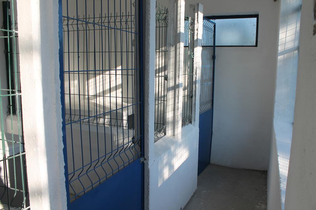 Quinta Ribeiro Tanquinhos Guest House Tancos Bagian luar foto