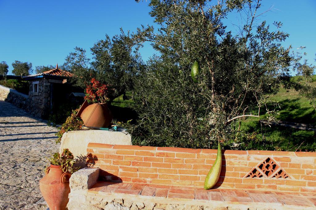 Quinta Ribeiro Tanquinhos Guest House Tancos Bagian luar foto