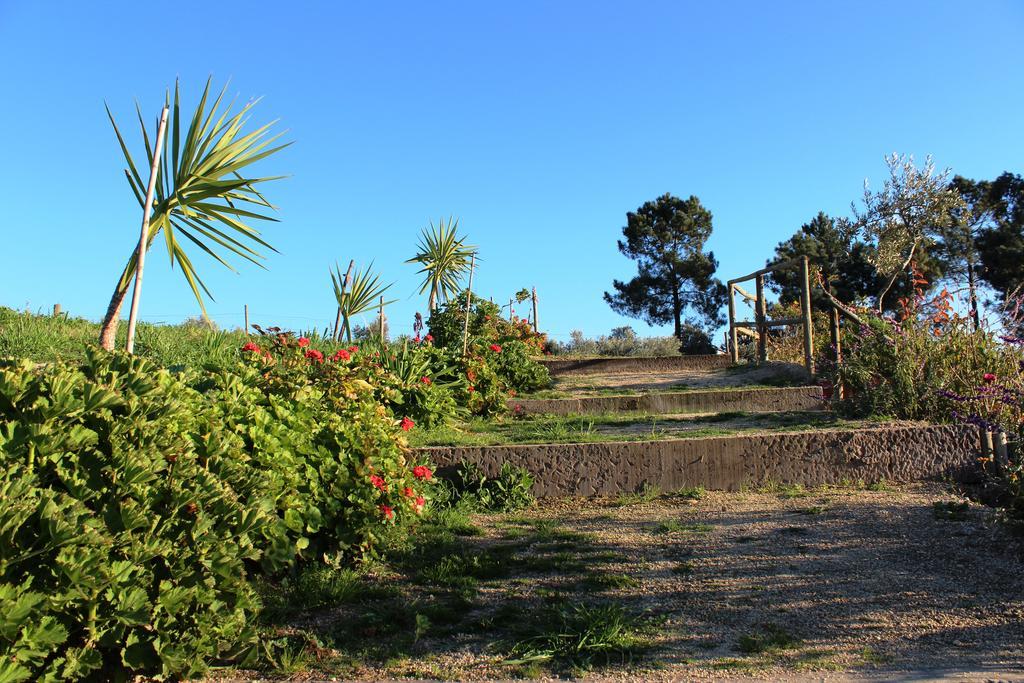 Quinta Ribeiro Tanquinhos Guest House Tancos Bagian luar foto