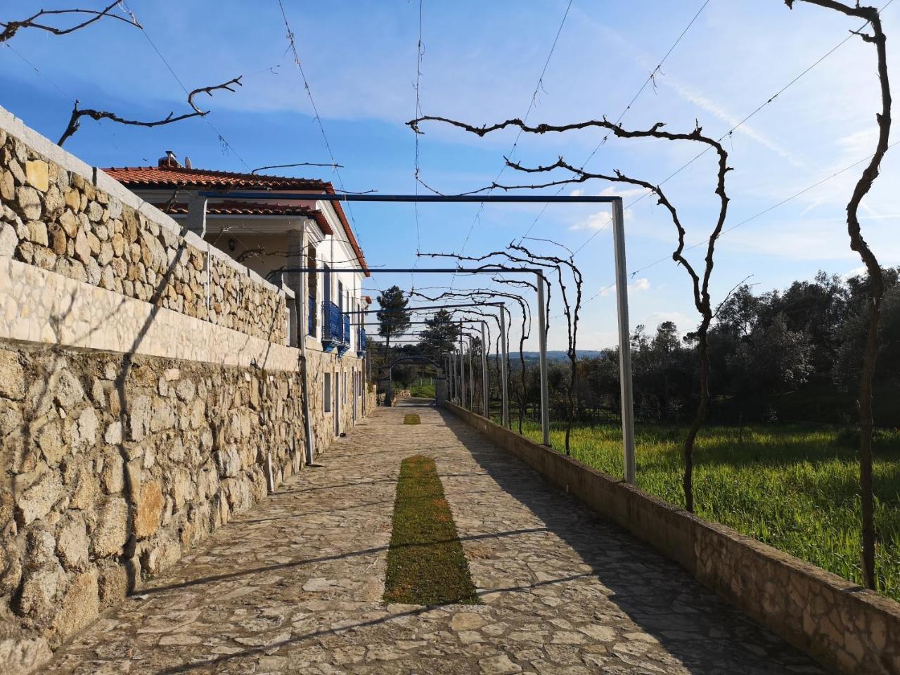Quinta Ribeiro Tanquinhos Guest House Tancos Bagian luar foto